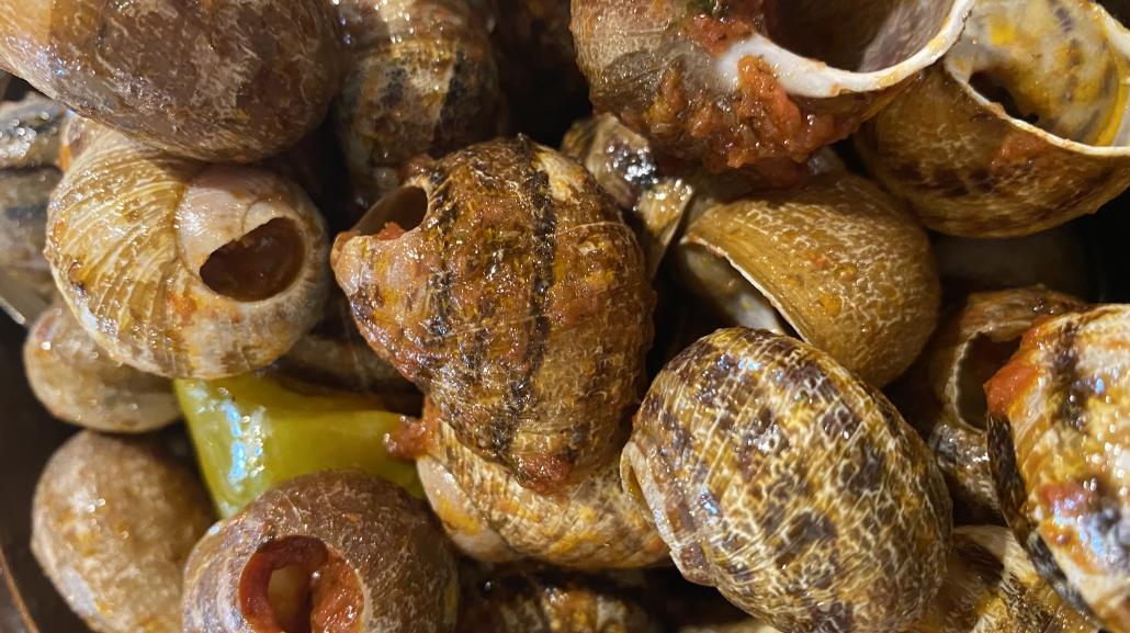 Le "Ciammaiche" dell'Agriturismo il Grappolo d'Oro